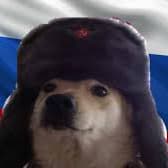User profile picture