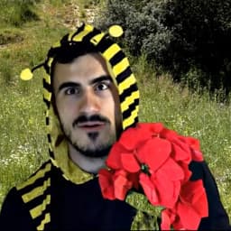 User profile picture
