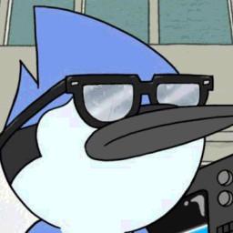 User profile picture
