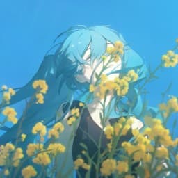 User profile picture