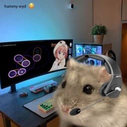 User profile picture