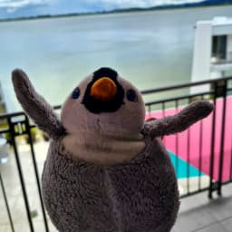 User profile picture