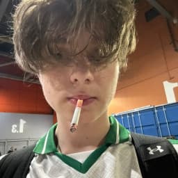 User profile picture