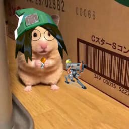 User profile picture