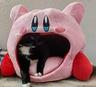 Collection uploader avatar