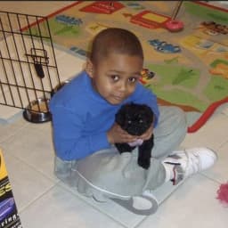 User profile picture