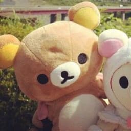 User profile picture