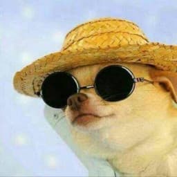 User profile picture