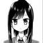 Collection uploader avatar