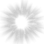 Collection uploader avatar