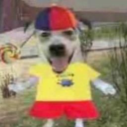 User profile picture