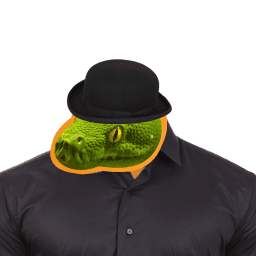 User profile picture