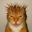 Collection uploader avatar