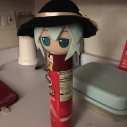 User profile picture