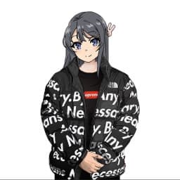 User profile picture