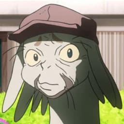 User profile picture
