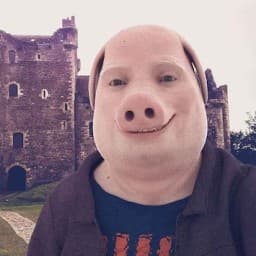 User profile picture