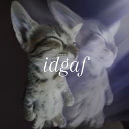 User profile picture