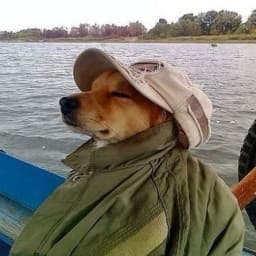 User profile picture