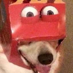 User profile picture