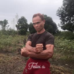 User profile picture