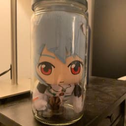 User profile picture