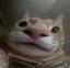 Collection uploader avatar