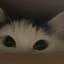 Collection uploader avatar