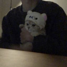 User profile picture