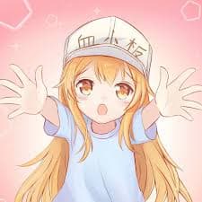 User profile picture