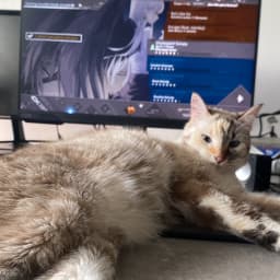 User profile picture