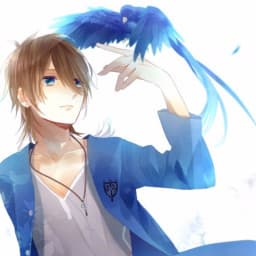 User profile picture