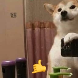 User profile picture