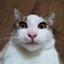 Collection uploader avatar