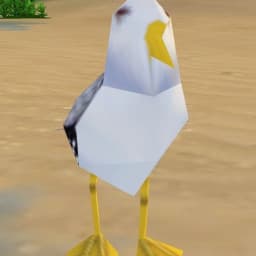 User profile picture