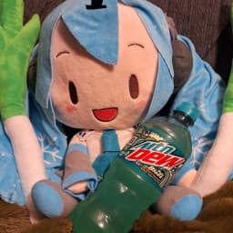 User profile picture