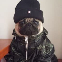 User profile picture