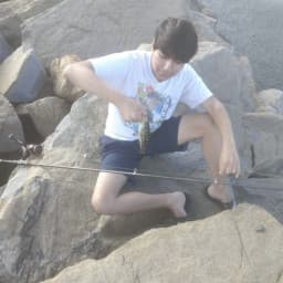 User profile picture