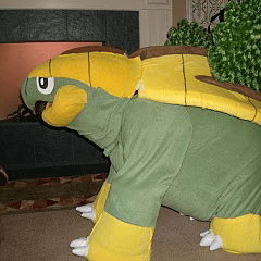 User profile picture