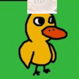 User profile picture