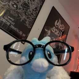 User profile picture