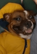 User profile picture