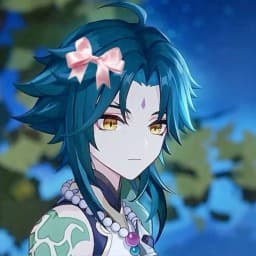 User profile picture