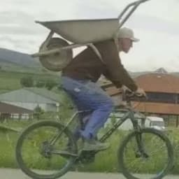 User profile picture