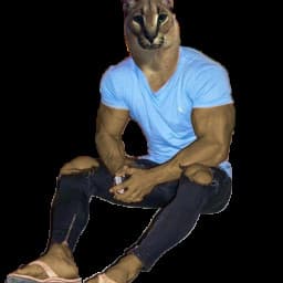 User profile picture