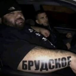 User profile picture