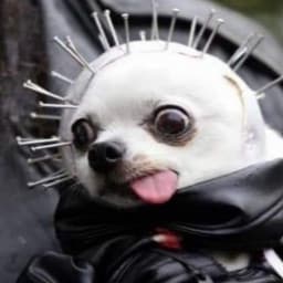 User profile picture