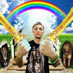 User profile picture