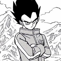 User profile picture