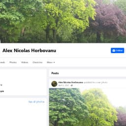 User profile picture